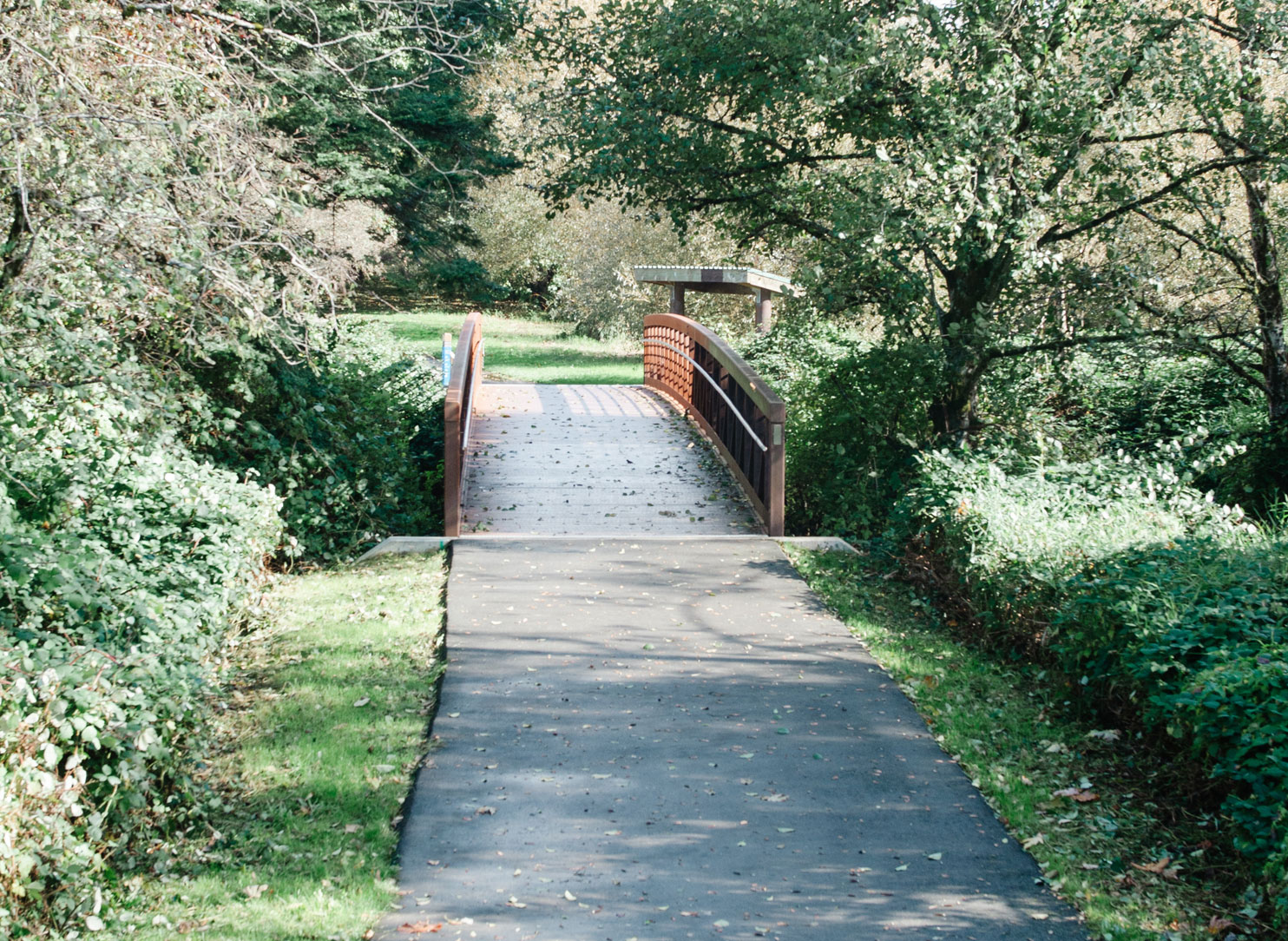 Bridge in a park.